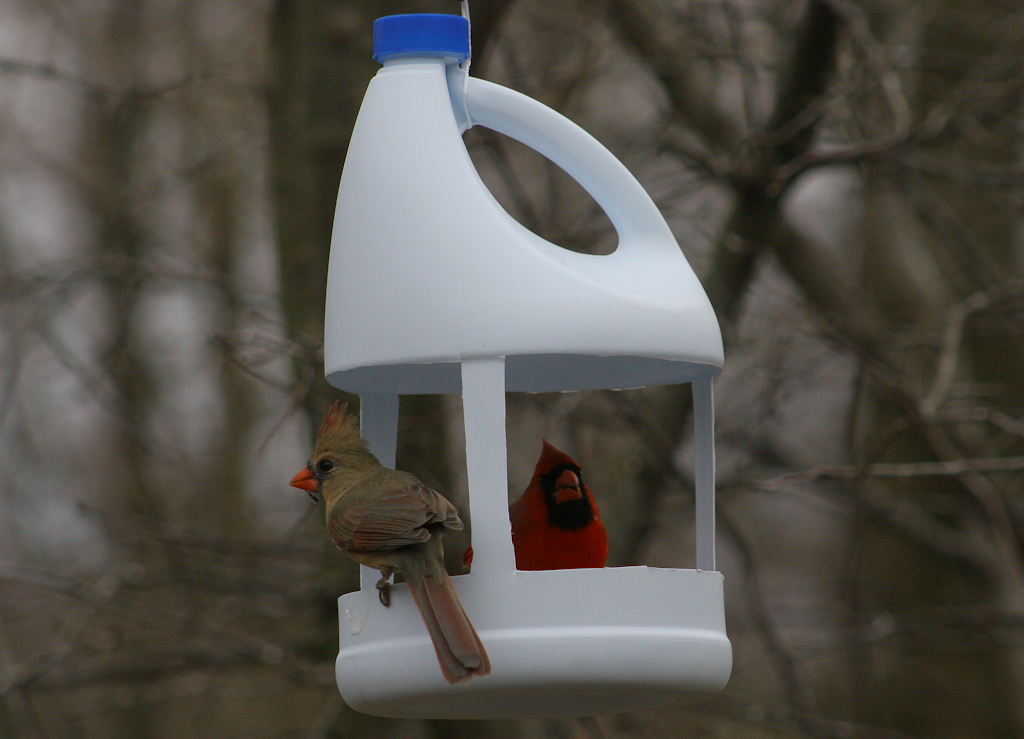 water bottle diy craft, plastic bird feeder