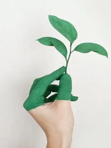 eco-friendly (green leaves)